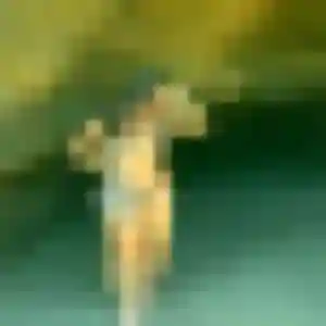 Profil de Anne-Sophie à La Chapelle-sur-Aveyron (31 ans) - plan cul sans inscription