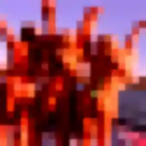 Photo exclusive de Colombe, 43 ans à La Chapelle-sur-Aveyron - rencontre sans lendemain