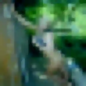 Belle Hortense, 43 ans à La Chapelle-sur-Aveyron - voir sa photo