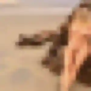 Lilou de La Couarde-sur-Mer, 28 ans - plan cul sans lendemain