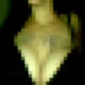 Rencontre Apolline, 32 ans à La Ferté-Saint-Aubin gratuitement