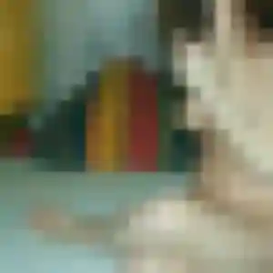 plan cul à La Garnache : photo de Ophelie, 22 ans - accès libre