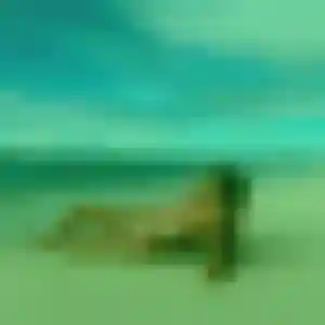 Alice, 36 ans, dispo pour plan cul à La Gouesnière