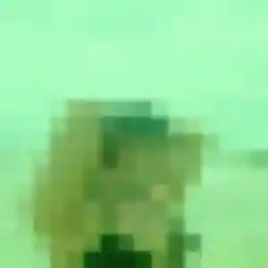 Prisca, 25 ans, cherche un plan cul à La Neuville-Chant-d'Oisel