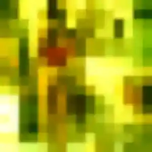 Ines, femme de 25 ans veut plan cul à La Neuville-du-Bosc