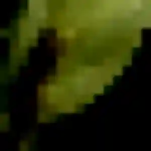 Photo de Salome à La Petite-Boissière (22 ans) - plan cul discret