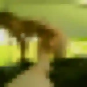Photo de Giulia à La Roche-de-Rame (39 ans) - plan cul discret