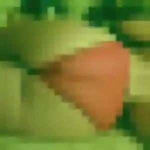 Photo de Eva à La Talaudière (26 ans) - plan cul gratuit