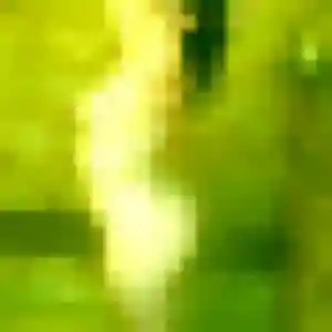 Photo de Nour à La Vicomté-sur-Rance (34 ans) - plan cul discret