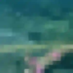 Photo perso de Chloe-Anne, 34 ans à Labarthe-Rivière - plan discret