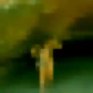 Photo sexy de Felicite, 41 ans à Labastide-d'Anjou - plan discret