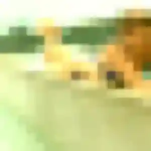 Photo privée de Noemie, 23 ans à Labeaume - plan discret