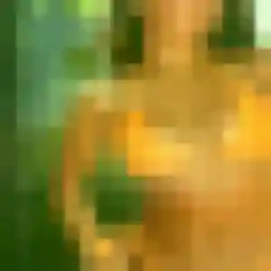 Ximena, fille de 34 ans cherche plan cul à Lachapelle-sous-Chaux