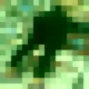 Profil de Quitterie à Lagny-le-Sec (36 ans) - plan cul gratuit