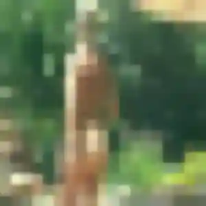 Ines, fille de 33 ans cherche plan cul à Lahonce