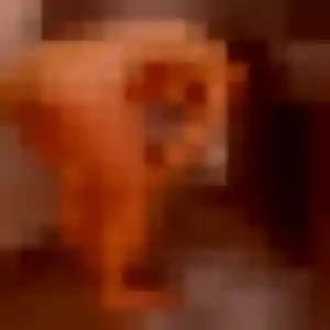 Noella, 43 ans, dispo pour plan cul à Lalande-de-Pomerol