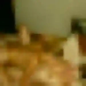 Lea, 27 ans, connectée à Lamotte-Beuvron pour une rencontre coquine
