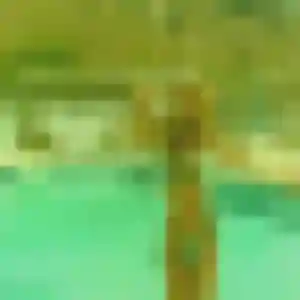 Photo sexy de Adeline, 41 ans à Landry - rencontre sans lendemain