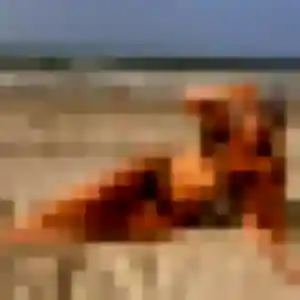 Belle Flore, 34 ans à Landudal - découvrir son profil