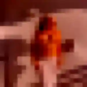 Quitterie, 22 ans, disponible à Languenan pour une rencontre coquine