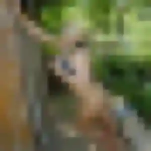 Myriam, 44 ans, cherche un plan cul à Lapeyrouse-Fossat