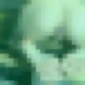 Djamila, femme de 22 ans cherche plan cul à Laplume