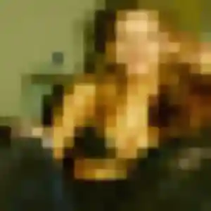 Photo privée de Constance, 34 ans à Laussonne - rencontre sans lendemain