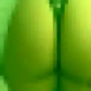 Sabrina, 26 ans, disponible à Lavault-Sainte-Anne pour un plan cul