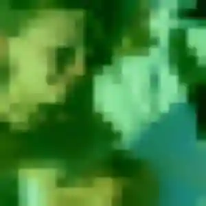 Photo de Yvonne à Lavilledieu (33 ans) - plan cul anonyme