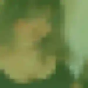 Contacte Maelys, 27 ans à Le Barroux en t'inscrivant
