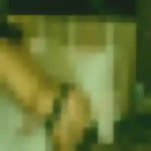 Profil de Maelys à Le Cannet-des-Maures (22 ans) - plan cul anonyme