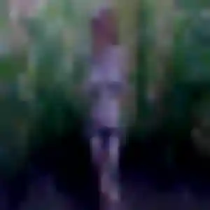 Aurelie, 35 ans, connectée à Le Carbet pour une rencontre coquine