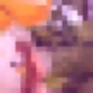 Photo perso de Octavie, 31 ans à Le Cheix - rencontre coquine