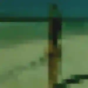 Photo privée de Amelie, 29 ans à Le Malzieu-Ville - rencontre coquine