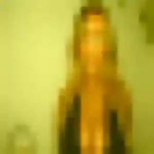 Rencontre Anna, 27 ans à Le Mas-d'Azil en t'inscrivant