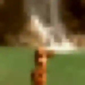 Manon, 35 ans, cherche un plan cul à Le Mesnil-sous-Jumièges