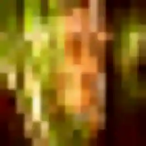 Jade, fille de 25 ans propose plan cul à Le Perray-en-Yvelines