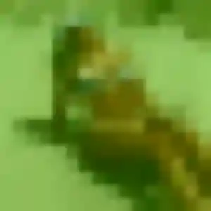 Doriane (43 ans) à Le Poët-Laval propose un plan cul aujourd'hui