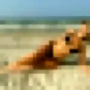 Emma, 36 ans, dispo pour plan cul à Le Revest-les-Eaux