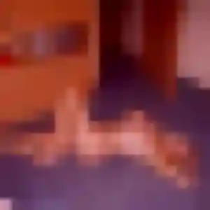 Belle Isabelle, 40 ans à Le Thuit de l'Oison - la contacter