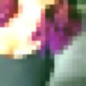 Photo privée de Daphne, 29 ans à Le Trait - rencontre sans lendemain