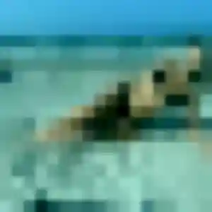 Jolie Iris, 43 ans à Le Triadou - découvrir son profil