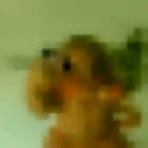 Patricia (36 ans) à Lecci cherche un plan cul aujourd'hui