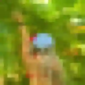 Tessa, 45 ans, en ligne à Les Adrets-de-l'Estérel pour un plan cul