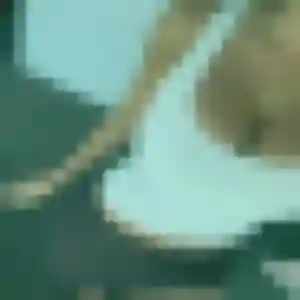 Photo de Ophelie à Les Avenières Veyrins-Thuellin (24 ans) - plan cul discret