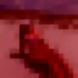 Photo de Alicia à Les Contamines-Montjoie (40 ans) - plan cul discret