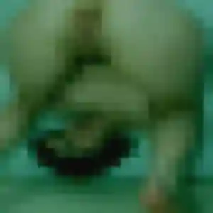 Caroline, 34 ans, en ligne à Les Grandes-Ventes pour un plan cul