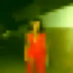 Contacte Perrine, 36 ans à Les Landes-Genusson en t'inscrivant