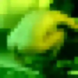 Charmante Eglantine, 35 ans à Les Lucs-sur-Boulogne - voir sa photo