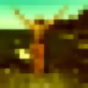 Contacte Marceline, 44 ans à Les Ollières-sur-Eyrieux gratuitement